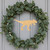 Unfinished T Rex Wood Cutout for Door Hangers, Seasonal Decor and Paint Parties, Baltic Birch Craft Blank