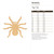 Unfinished Tarantula Wood Cutout for Door Hangers, Seasonal Decor and Paint Parties, Baltic Birch Craft Blank