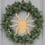 Unfinished Tarantula Wood Cutout - Unfinished Baltic Birch Craft Shape