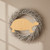 Unfinished Tortoise Wood Cutout - Unfinished Baltic Birch Craft Shape