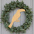 Unfinished Toucan Wood Cutout - Unfinished Baltic Birch Craft Shape