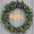Unfinished Triceratops Wood Cutout for Door Hangers, Seasonal Decor and Paint Parties, Baltic Birch Craft Blank