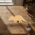 Unfinished Triceratops Wood Cutout - Unfinished Baltic Birch Craft Shape