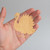 Unfinished Turkey 3 Wood Cutout for Door Hangers, Seasonal Decor and Paint Parties, Baltic Birch Craft Blank