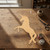 Unfinished Unicorn 4 Wood Cutout - Unfinished Baltic Birch Craft Shape