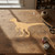 Unfinished Velociraptor Wood Cutout for Door Hangers, Seasonal Decor and Paint Parties, Baltic Birch Craft Blank
