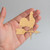 Unfinished Weather Vane Wood Cutout - Unfinished Baltic Birch Craft Shape