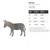 Donkey Steel Cutout Shape - Raw Metal Wall Art and Craft Supply