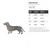 Dachshund Steel Cutout Shape, Raw Metal Wall Art and Craft Supply