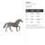 Horse 1 Steel Cutout Shape - Raw Metal Wall Art and Craft Supply