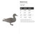 Mallard Duck Steel Cutout Shape, Raw Metal Wall Art and Craft Supply