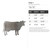 Cow 1 Steel Cutout Shape - Raw Metal Wall Art and Craft Supply