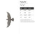 Flying Bird Steel Cutout Shape, Raw Metal Wall Art and Craft Supply