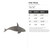 Killer Whale Steel Cutout Shape - Raw Metal Wall Art and Craft Supply