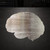 Brain Steel Cutout Shape, Raw Metal Wall Art and Craft Supply
