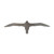 Albatross Steel Cutout Shape - Raw Metal Wall Art and Craft Supply