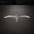 Albatross Steel Cutout Shape - Raw Metal Wall Art and Craft Supply