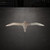 Albatross Steel Cutout Shape, Raw Metal Wall Art and Craft Supply