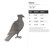 Osprey Steel Cutout Shape - Raw Metal Wall Art and Craft Supply