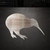 Kiwi Steel Cutout Shape - Raw Metal Wall Art and Craft Supply