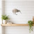 Kiwi Steel Cutout Shape - Raw Metal Wall Art and Craft Supply