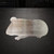 Guinea Pig Steel Cutout Shape, Raw Metal Wall Art and Craft Supply