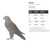 Falcon Steel Cutout Shape - Raw Metal Wall Art and Craft Supply