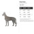 Great Dane Steel Cutout Shape, Raw Metal Wall Art and Craft Supply