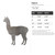 Alpaca Steel Cutout Shape - Raw Metal Wall Art and Craft Supply
