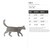 Cat 3 Steel Cutout Shape, Raw Metal Wall Art and Craft Supply