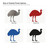 Emu Steel Cutout Shape, Raw Metal Wall Art and Craft Supply