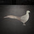 Pheasant Steel Cutout Shape - Raw Metal Wall Art and Craft Supply