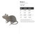 Mouse 2 Steel Cutout Shape - Raw Metal Wall Art and Craft Supply