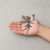Fairy Steel Cutout Shape - Raw Metal Wall Art and Craft Supply