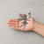 Fairy Steel Cutout Shape, Raw Metal Wall Art and Craft Supply