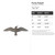 Flying Seagull Steel Cutout Shape, Raw Metal Wall Art and Craft Supply