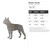 Boston Terrier Steel Cutout Shape, Raw Metal Wall Art and Craft Supply