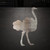 Ostrich Steel Cutout Shape, Raw Metal Wall Art and Craft Supply