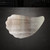 Oyster Steel Cutout Shape - Raw Metal Wall Art and Craft Supply