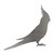 Cockatiel Steel Cutout Shape, Raw Metal Wall Art and Craft Supply