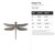 Dragon Fly Steel Cutout Shape - Raw Metal Wall Art and Craft Supply
