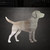 Dog Steel Cutout Shape - Raw Metal Wall Art and Craft Supply