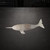 Narwhal Steel Cutout Shape - Raw Metal Wall Art and Craft Supply