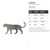 Leopard Steel Cutout Shape - Raw Metal Wall Art and Craft Supply