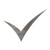 Check Mark Steel Cutout Shape, Raw Metal Wall Art and Craft Supply