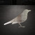 Blackbird Steel Cutout Shape - Raw Metal Wall Art and Craft Supply