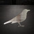 Blackbird Steel Cutout Shape, Raw Metal Wall Art and Craft Supply