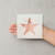 Starfish Reusable Mylar Stencil - 10 mil Paint and Craft Stencil