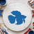 Betta Fish Reusable Mylar Stencil, 10 mil Plastic Paint Stencil for Crafts and Decor