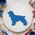 Cocker Spaniel Reusable Mylar Stencil, 10 mil Plastic Paint Stencil for Crafts and Decor
